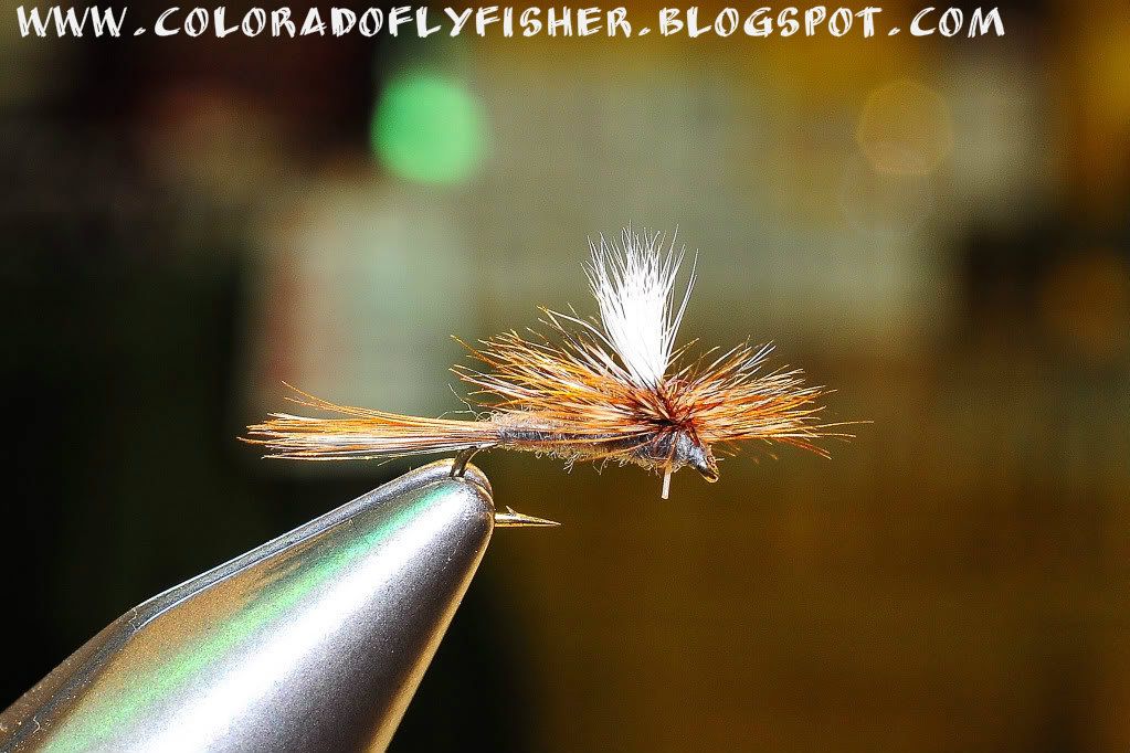 Colorado Fly Fishing Magazine Kleis's Top Ten Flies For Colorado